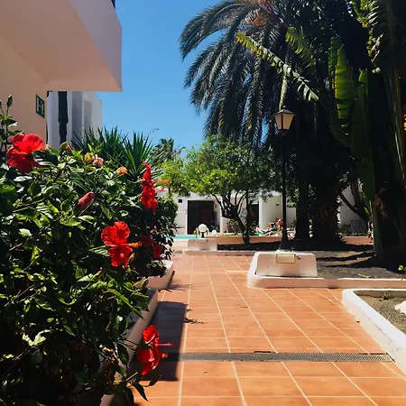 Maribel Apartman