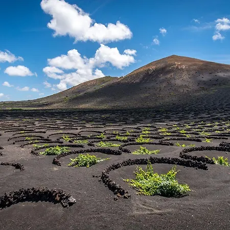 Maribel アパート プエルト・デル・カルメン